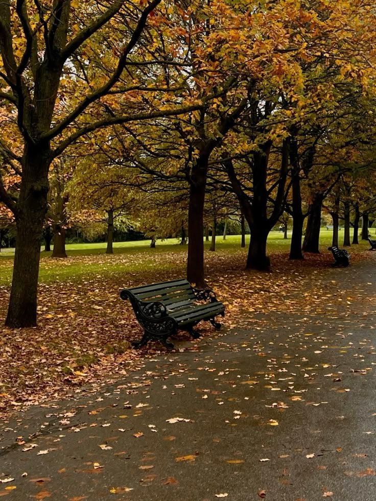 talya9646171863's tweet photo. The most comforting season https://t.co/V07Ml3EIc7