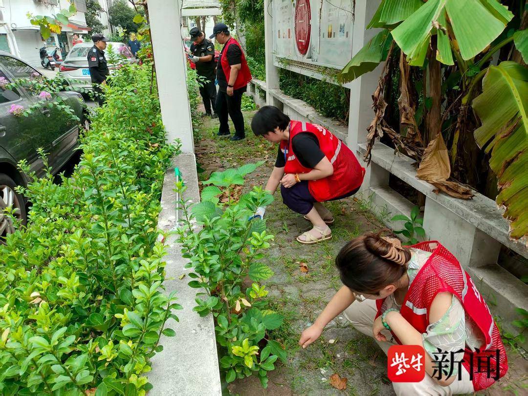 ferld13's tweet photo. Join our community garden cleanup this Sat 9am at Oak Park! Bring gloves u0026 a positive vibe—we’ll spruce up the space together! https://t.co/b1IrwX1kPU