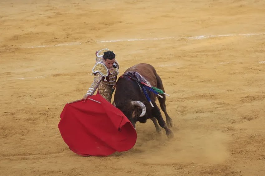 deporteytoro's tweet photo. ✍️ SAN ROQUE (Cádiz). San Roque se rinde al triunfo de David Galván, Joaquín Galdós y Román
#sanroque #cadiz #davidgalvan #roman #joaquingaldos @infodavidgalvan @RomanCollado
➡️ Noticia completa: https://t.co/PxwPwYr6f4 https://t.co/j0arwQC625