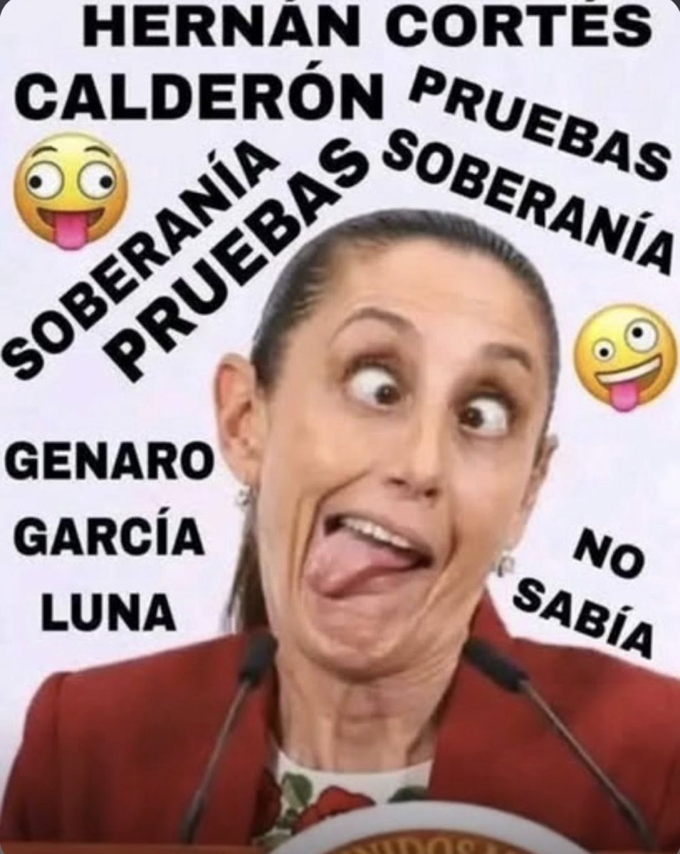 LOBOSANOVA's tweet photo. @JesusMartinMx @Claudiashein @PartidoMorenaMx @realDonaldTrump @SecRubio @DeputySecState @USAmbMex https://t.co/670eYJ61o6