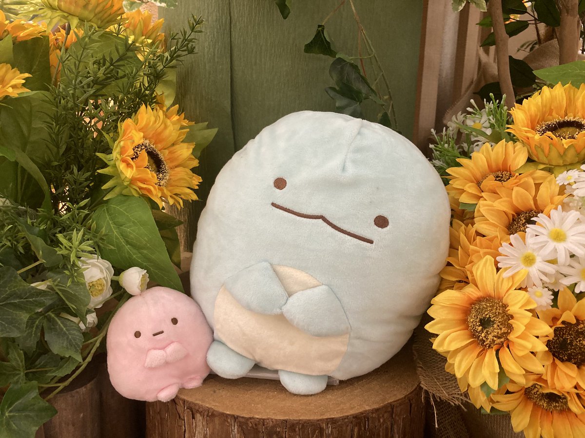 りらこ様 こんなもんかな！！ いやー撮った撮った！！