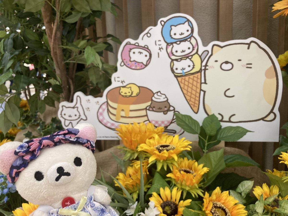 こんなもんかな！！ いやー撮った撮った！！