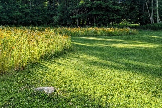 giveashitnature tweet picture