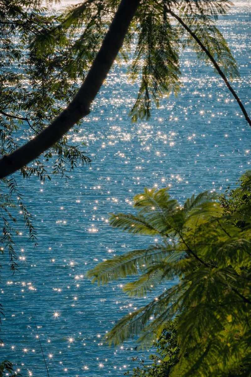 naturehealyou's tweet photo. look how beautiful the sun sparkles on top of the water https://t.co/rt3xk1wUWD