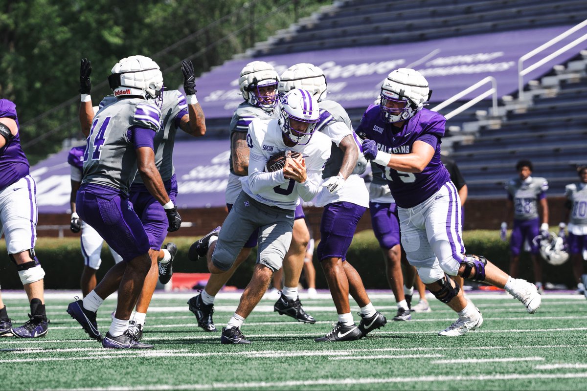 PaladinFootball's tweet photo. The best way to spend a Saturday. Fan Day 2026 💜

#EliteIsTheStandard | #FUAllTheTime https://t.co/2THLZRODl2