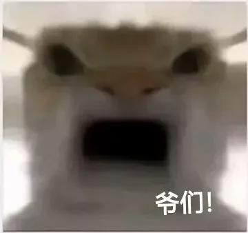 0xAquan's tweet photo. 大声的告诉我 我们是什么!

0xaf8ac4d206d8725419fbd192b2248c3b611c7777

#爷们！ https://t.co/ygVw9N5XwV