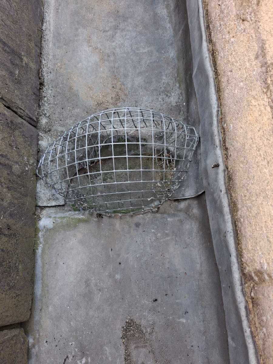 bathwindows's tweet photo. Clearing out gullies at Catharine Place in Bath. https://t.co/RLY1DzS2oa