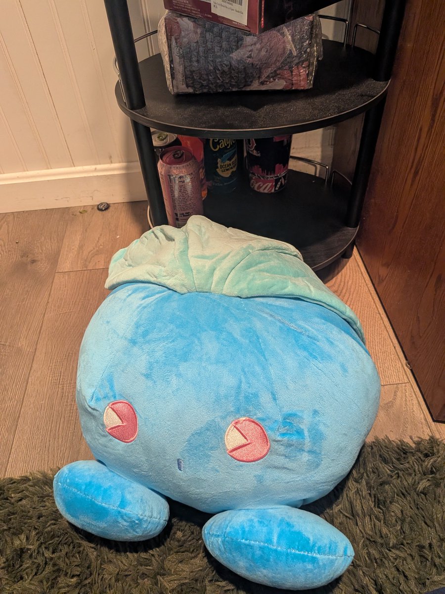 _Sidalcea's tweet photo. chat I tried ali Express and I got the biggest oddish ever I can't fit him on its oddish shelf </3 idk what to doooo I is very happy tho https://t.co/50sjXNO8qc