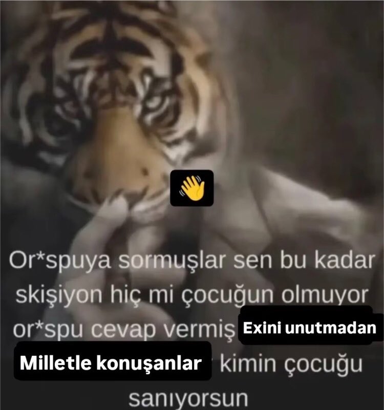 mollysntanass's tweet photo. özür dilerim https://t.co/N3onLZrupK
