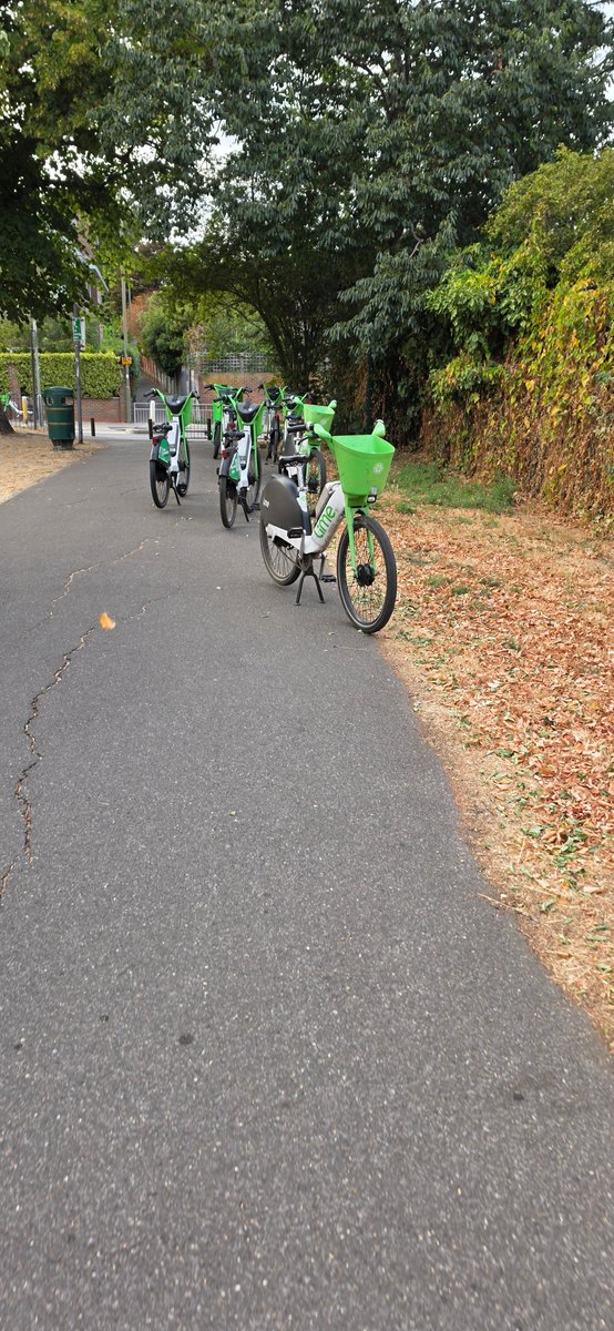 vijayjois's tweet photo. This is a nuisance in a public space at #HendonPark not a #bikestand
@limebike
@TfL
@BarnetCouncil
#getridofthiseyesore https://t.co/qzkqlcvaxA
