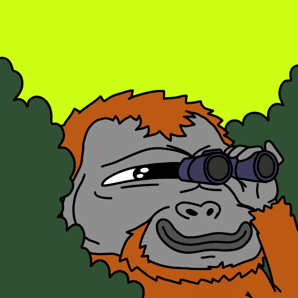 HoodTangs tweet picture