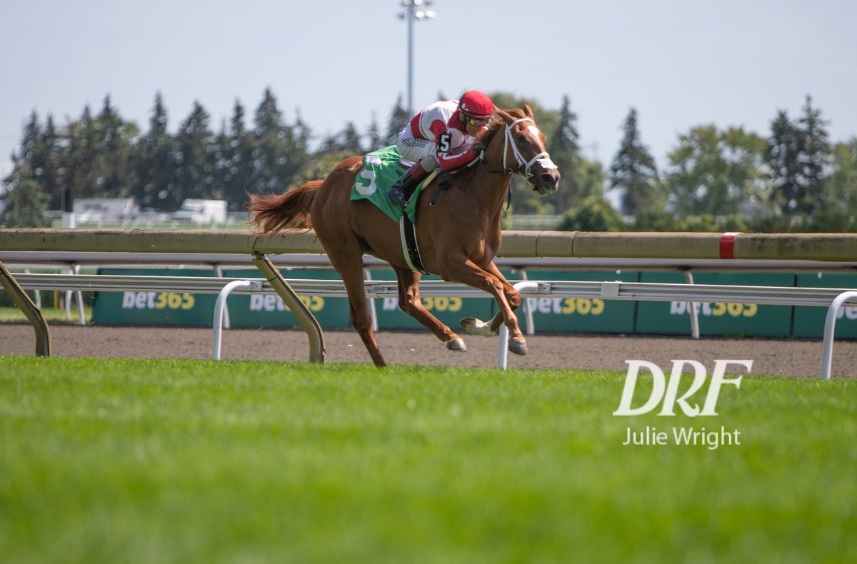 reddogcw's tweet photo. Cattrall and @ljlmvel make it a winning one on the EP Taylor turf @DailyRacingForm https://t.co/I9VN6G9kTn