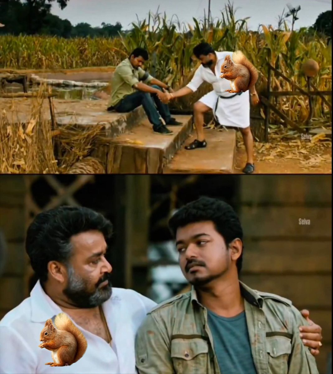 VijayismX's tweet photo. முதலமைச்சரா ஆக்கிட்டிங்க So அதுனால கடமை முடிஞ்சதுனு யாரும் ஒதுங்கி போயிடாதீங்க - CM விஜய் 

எங்கள என்ன 200ரூ கொத்தடிமைகள்ன்னு நினைச்சிட்டியான்னா? காச வாங்கிட்டு ஓட்டு போட்டுட்டு ஒதுங்கி போறதுக்கு?🥲

உங்களை விட்டு நாங்க எங்க அண்ணா போவோம்? நல்லதோ கெட்டதோ எங்க வாழ்நாள் முழுவதும் உங்களோட தான்.