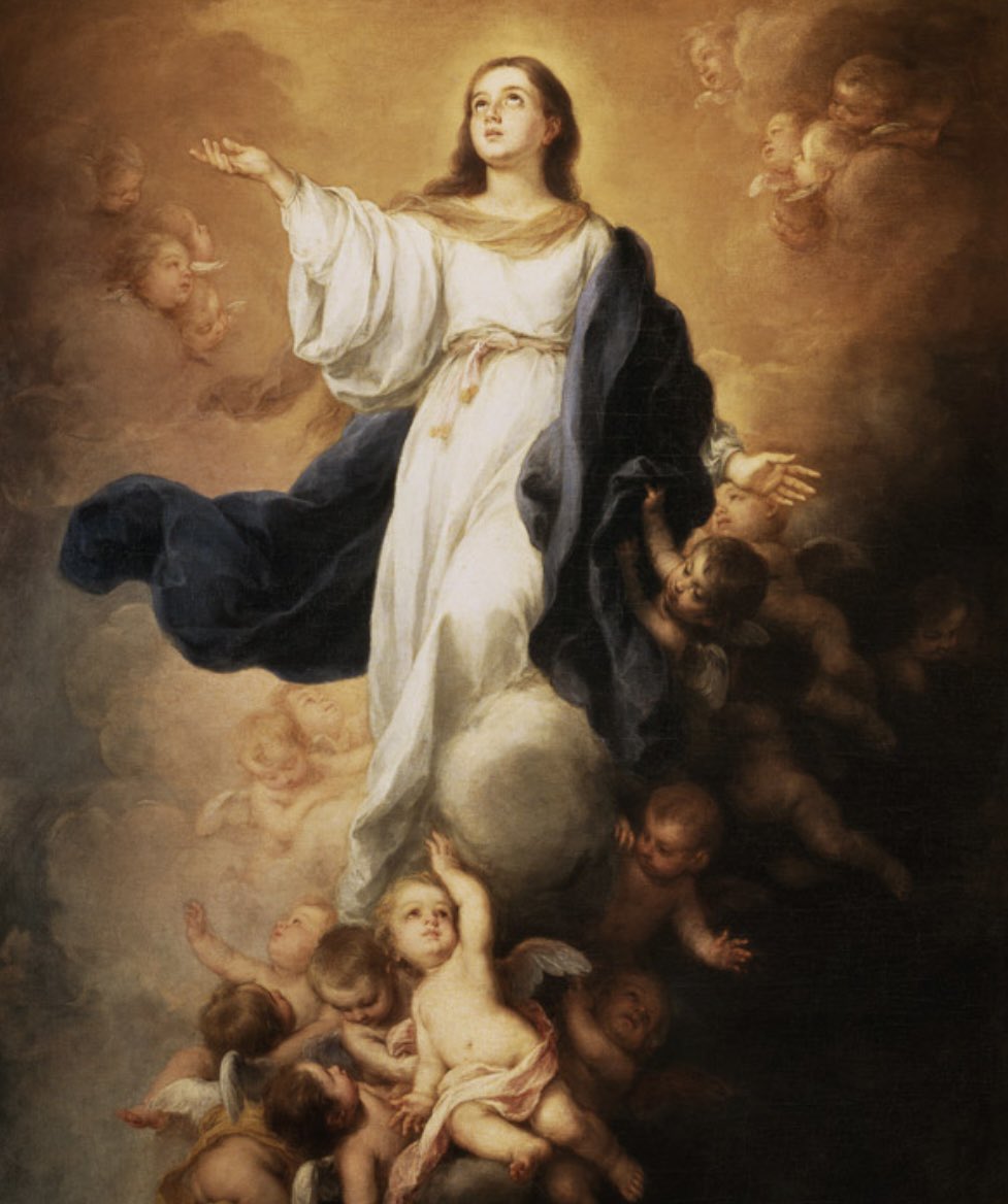 AldazTelmo's tweet photo. Hoy día de La Virgen, día de La Asunción. 
¡Viva la Madre De Dios! ¡Viva la Virgen María! https://t.co/vydnjw599O