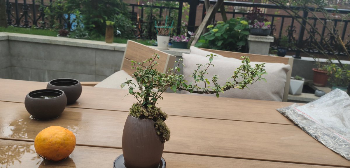 TheBytebomb's tweet photo. Turn an old mason jar into a cute herb planter—zero waste, full charm! Perfect for sprucing up my windowsill , https://t.co/FGz8zWu9Dr