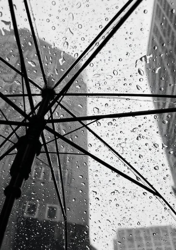 spooky_nature's tweet photo. seeing raindrops through an umbrella😌 https://t.co/fEEQljVW1g