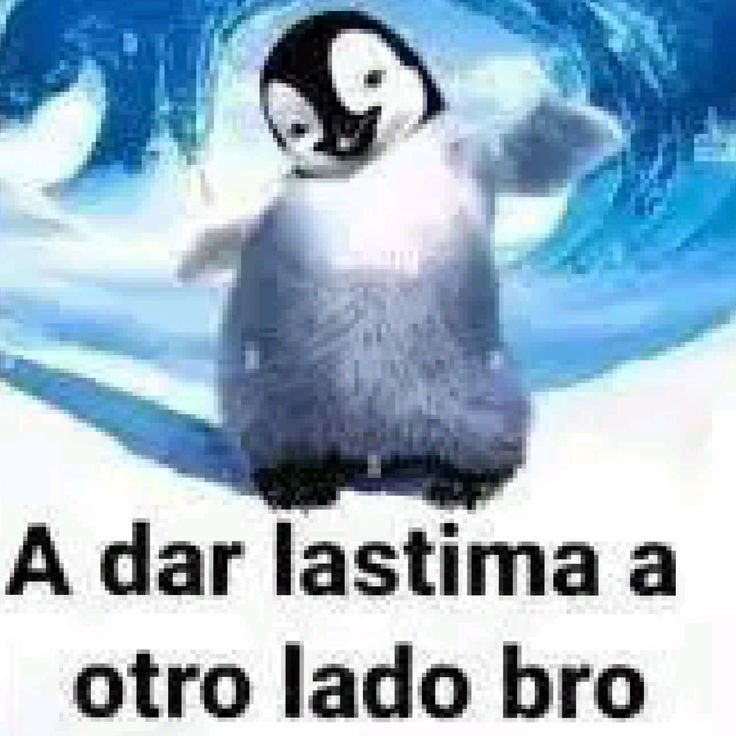its_Matiii's tweet photo. Ustedes cada q Ven un post mio 😚 https://t.co/MbN5EBDoiO