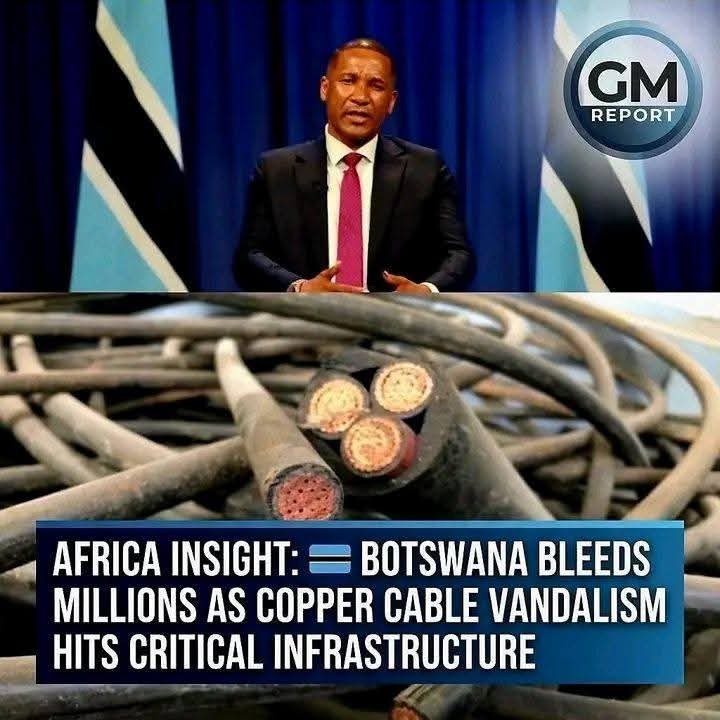 vusumuzikhoza's tweet photo. When we said enough is enough, #Abahambe, you called us xenophobic and Afrophobic. Kunjani manje?Please enjoy their company. #Azikhale https://t.co/xrpVs38aZP