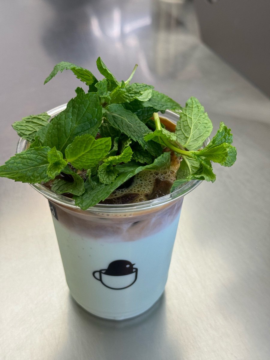TaraGrimes95797's tweet photo. Just caught my teammate trying to "fix" the office plant by spraying it with their morning latte instead of water—turns out coffee’s great for us, not so great for ferns. https://t.co/q3v0Facsrk