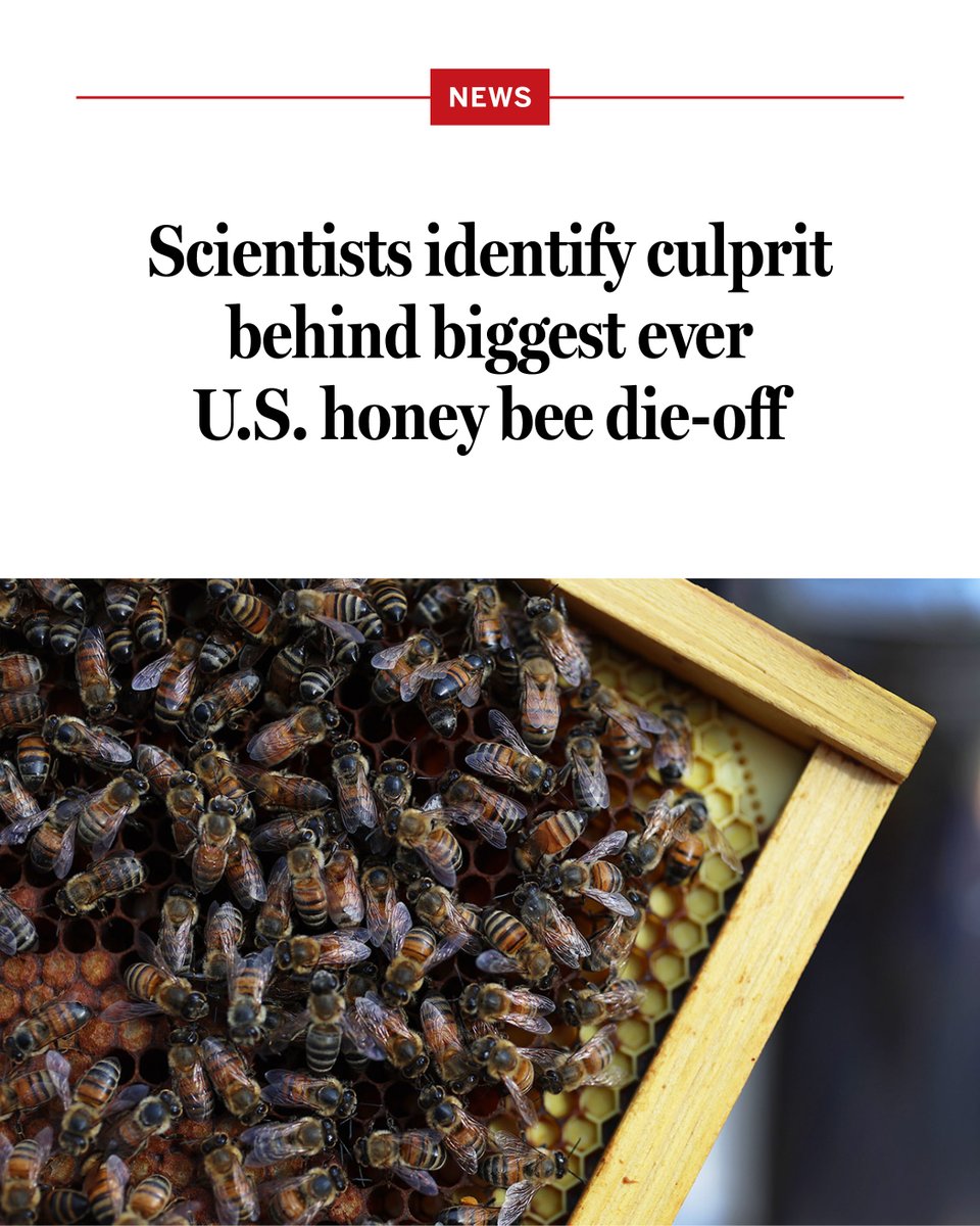 ScienceMagazine tweet picture