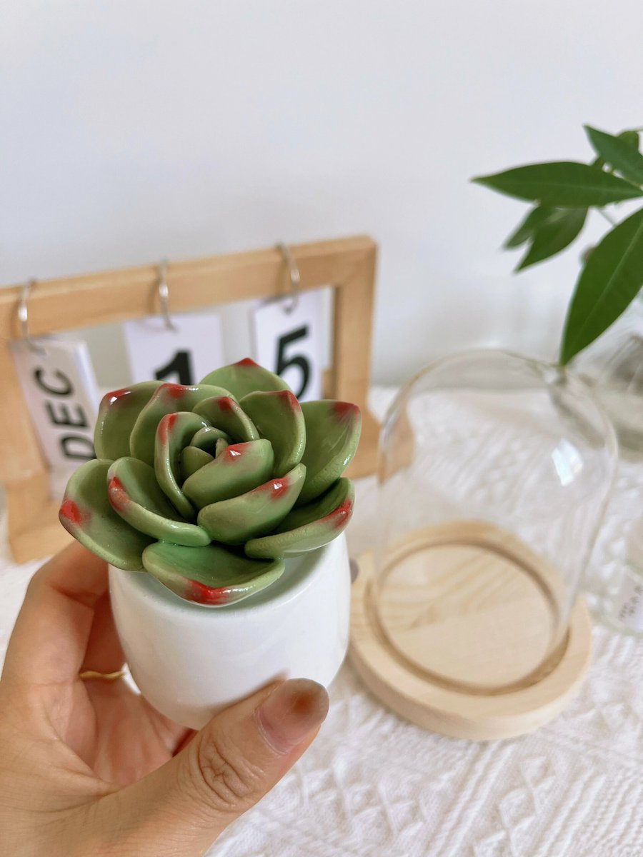 pianofit's tweet photo. DIY this cute mason jar succulent planter in 5 mins—no fancy tools needed! Add tiny pebbles and your favorite succulent for a cozy desk decor upgrade , https://t.co/mZBr0Lckro