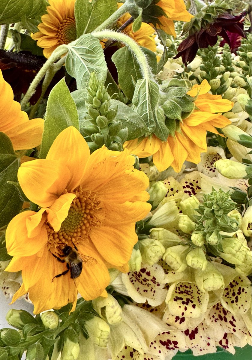 interactivebee tweet picture