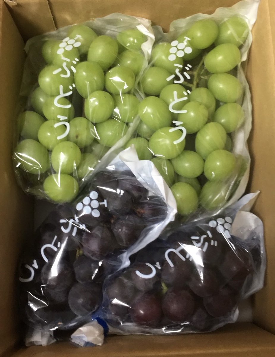 1000sa0sh1's tweet photo. シャインマスカットとピオーネ🍇 https://t.co/IWjnqQRnQ0