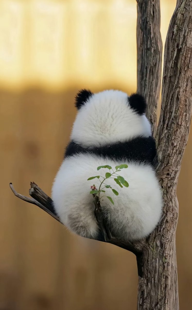 naturehealyou's tweet photo. https://t.co/eWmWp3Q0aJ