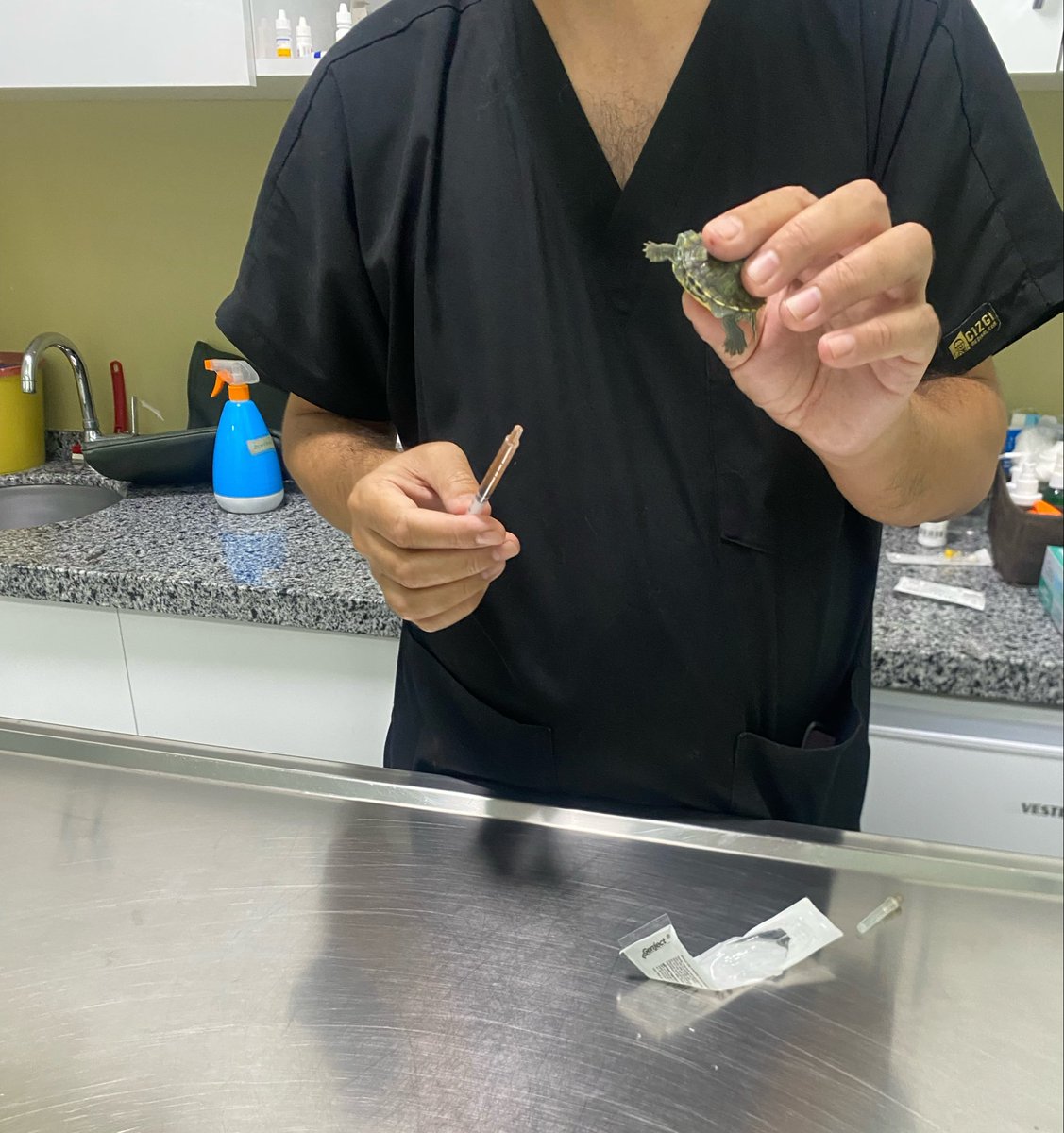 edaygml's tweet photo. Şu sıralar hayatımdaki en büyük aksiyon bu saatte kaplumbağamı veterinere götürmek https://t.co/gww4qplHHa