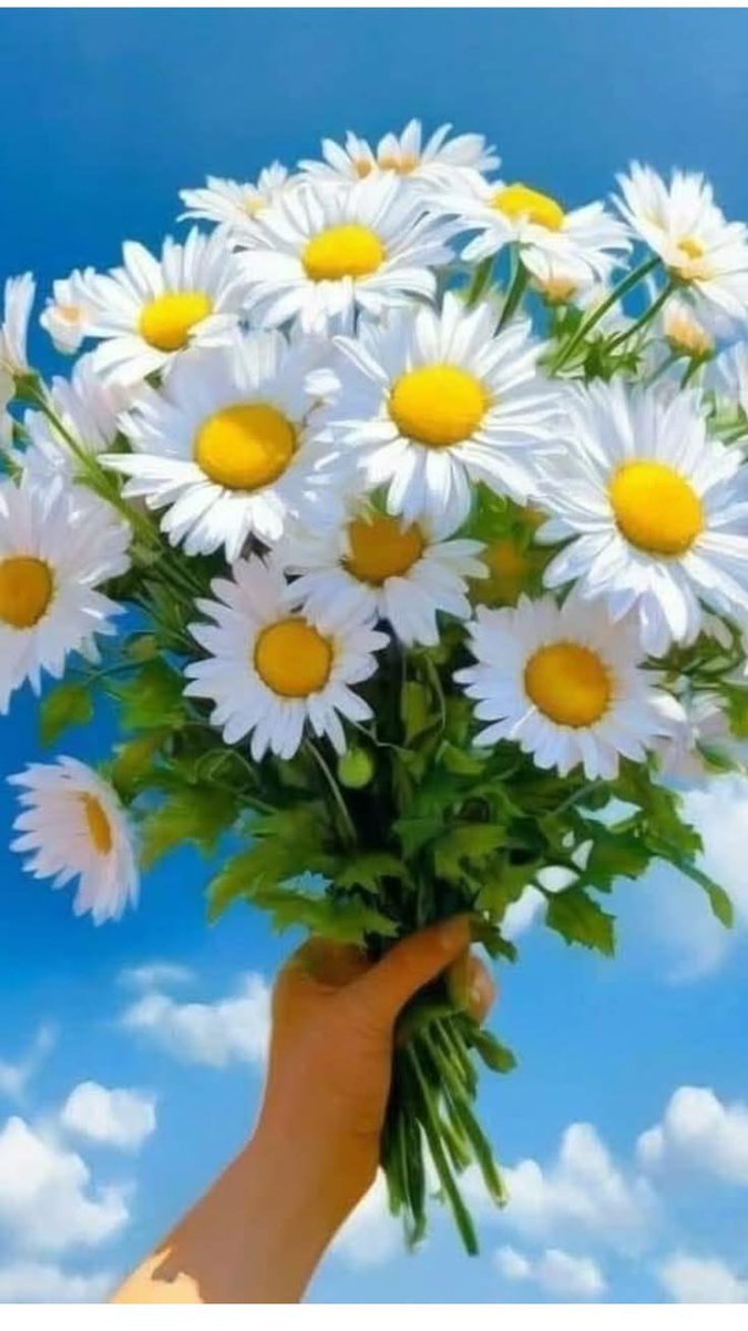 ismailseren7's tweet photo. @ismett1975 İyi akşamlar çok değerli abiciğim Allah sana sıhhat sağlık uzun ömür versin inşallah sevdiklerinle birlikte https://t.co/Rgo0LfzdKZ