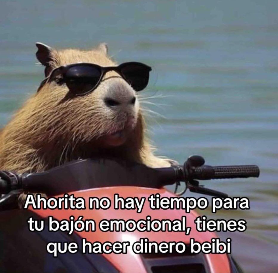 flanchota's tweet photo. hay prioridades https://t.co/SFSVHmHRDe