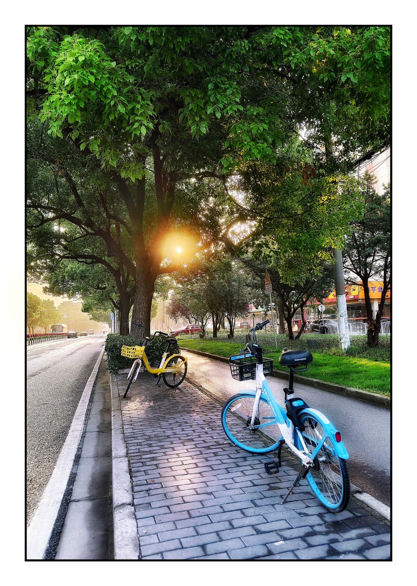 bed_time88673's tweet photo. My morning commute used to be 45 mins on a packed bus—today I rode a shared bike that took only 15 mins, and I finally got to watch the sunrise over the city again! https://t.co/GQsZ6IL8wh