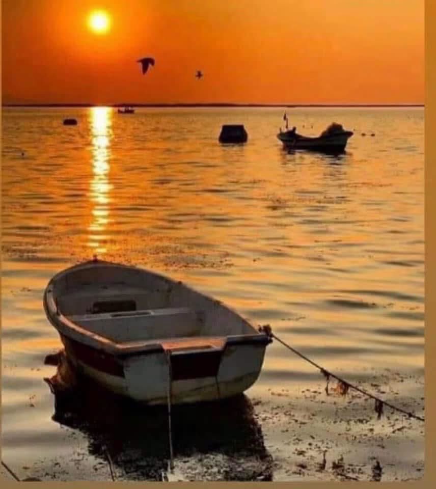 1nefesanadolu's tweet photo. Garip bir ağustos tadı damaklarımda,
Hiç yaz gibi değil bu mevsim...
"Yaz, ben gibi değil"
Ya ağustoslar bozuldu...
Ya ağzımın tadı...

Edip Cansever https://t.co/9Y9O6BMu7x