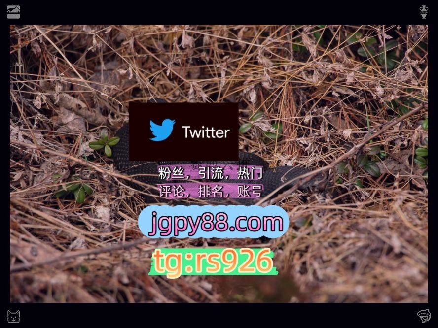 emomemo_55's tweet photo. Be thoughtful enough to care deeply.
霸屏🪐群发私信💐海外获客🍀推特脚本外🚜facebook矩阵互动🌞輔助工具🌂
推特矩阵系统、Twitter矩阵系统、X矩阵系统推特账号关键词霸屏🧳熱門🌈权重号🌟推特老号🍄定時發推💐拉萨
矩阵互动🌞輔助工具🌂世界杯围826415推特矩阵管理、营销自动化、内容运营
点 https://t.co/0kKVLjMOJd