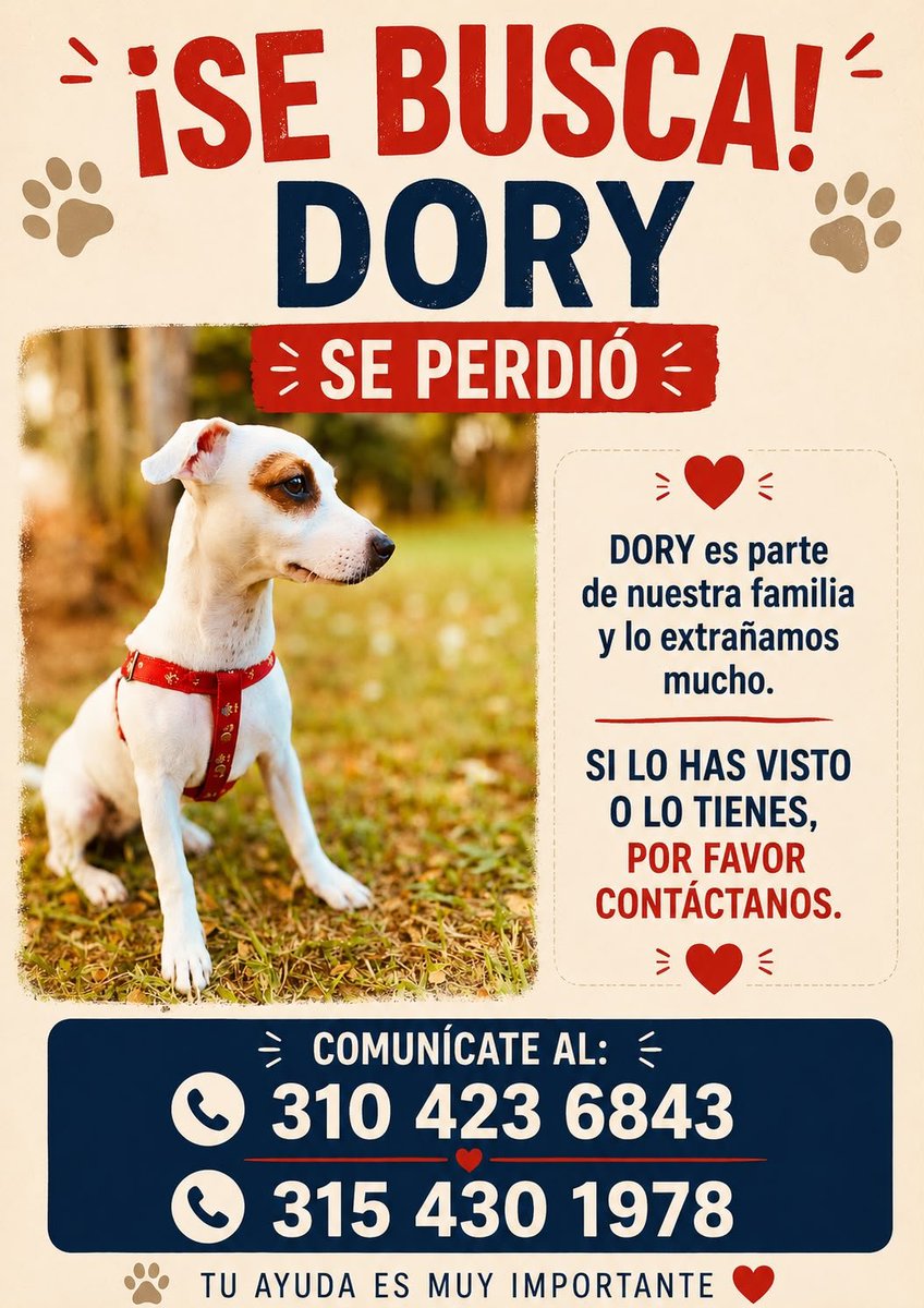 Germanchos's tweet photo. CALI, Buscan a DORY.

AGO 15, 3:20PM https://t.co/oSIYQpQdBV