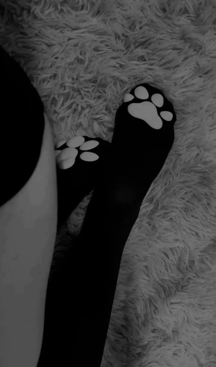 Lia7220's tweet photo. Meow :p #kitty #catgirl #meow #nsfw #asian #petplay #paws #egirl https://t.co/AcIaf7tEVY