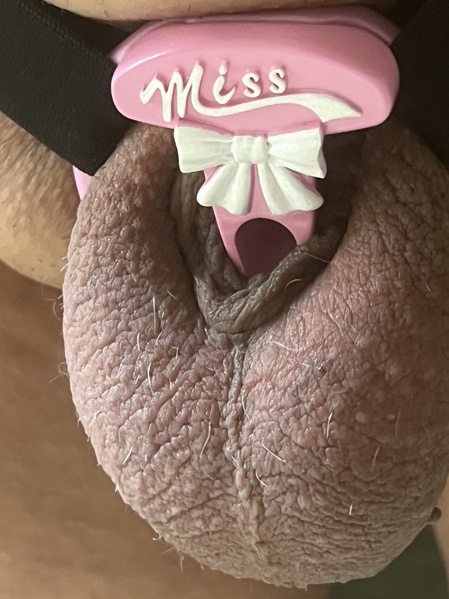 sissyPigsieanna's tweet photo. Triple locked inverted for her pleasure. #chatity #whiteslave https://t.co/Hxo3iOtWDt