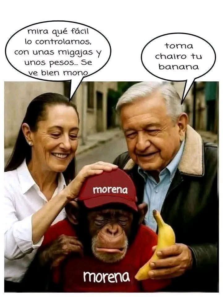 informatpr52736's tweet photo. @VillacisNess @LuisaAlcalde @Claudiashein El pendejo que maneja las cuentas de bots y trolls, con cero seguidores, mugrero el que dejó el estúpido, idiota, pendejo, resentido del #NarcoPresidenteAmlo y le sigue la #NarcoVicePresirvientaClaudia pronto caerán los Narco políticos terroristas de mierda de #NarcoMorena https://t.co/h14EkKnB8t