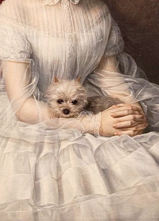 HannahofYore's tweet photo. Every great woman deserves a gorgeous gown, a calm demeanor, and a tiny companion or two who rules her entire world. https://t.co/dTdn64ouBi