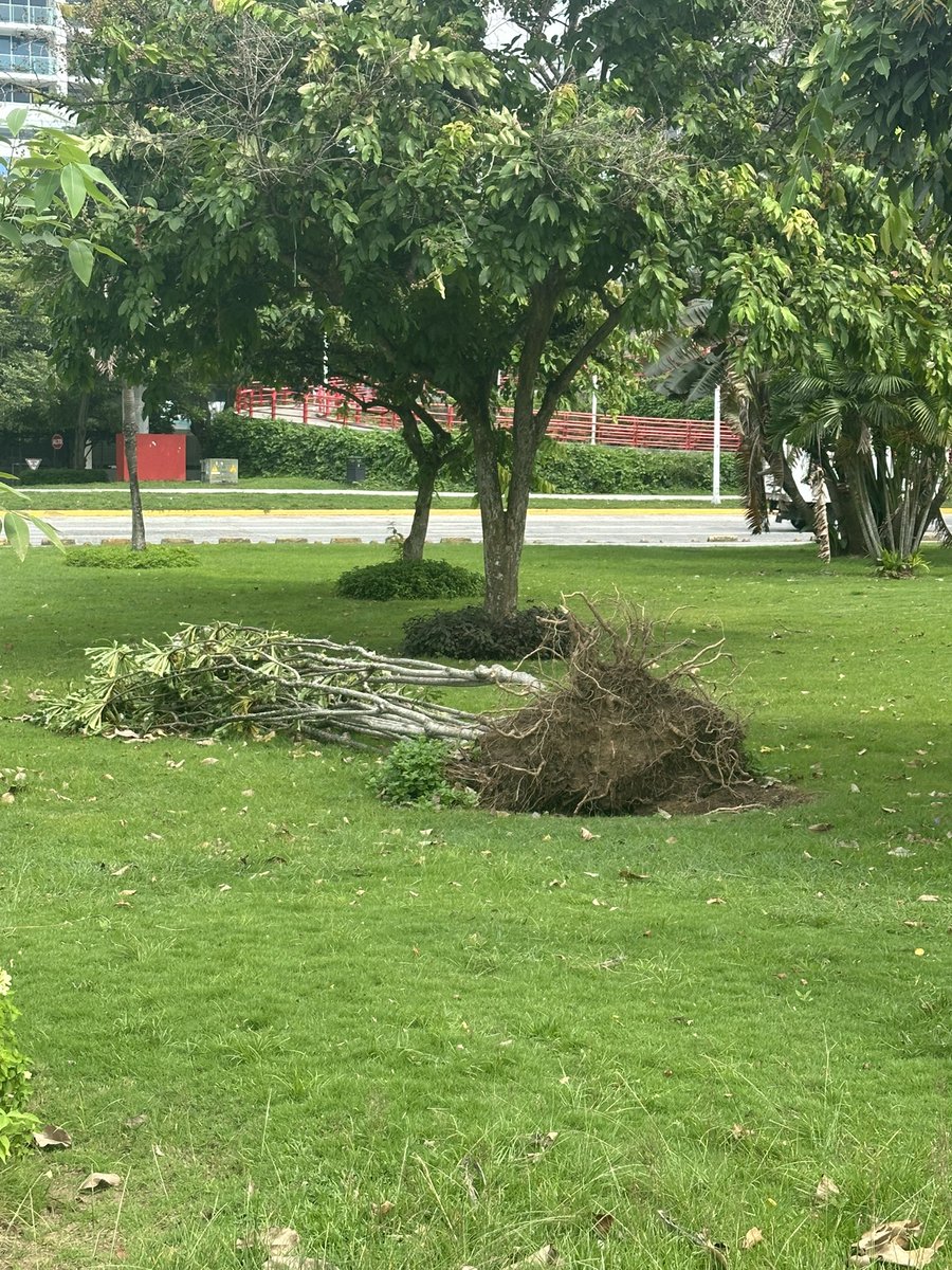 TNo47724593's tweet photo. @Mayer @ATP_panama @MOPPma 

The current state of Cintas Costeras by the famous Panama Sign where tourist go to take pictures. The once beautiful area looks abandoned and could use some maintenance. 🇵🇦❤️ https://t.co/qMLidG5paa