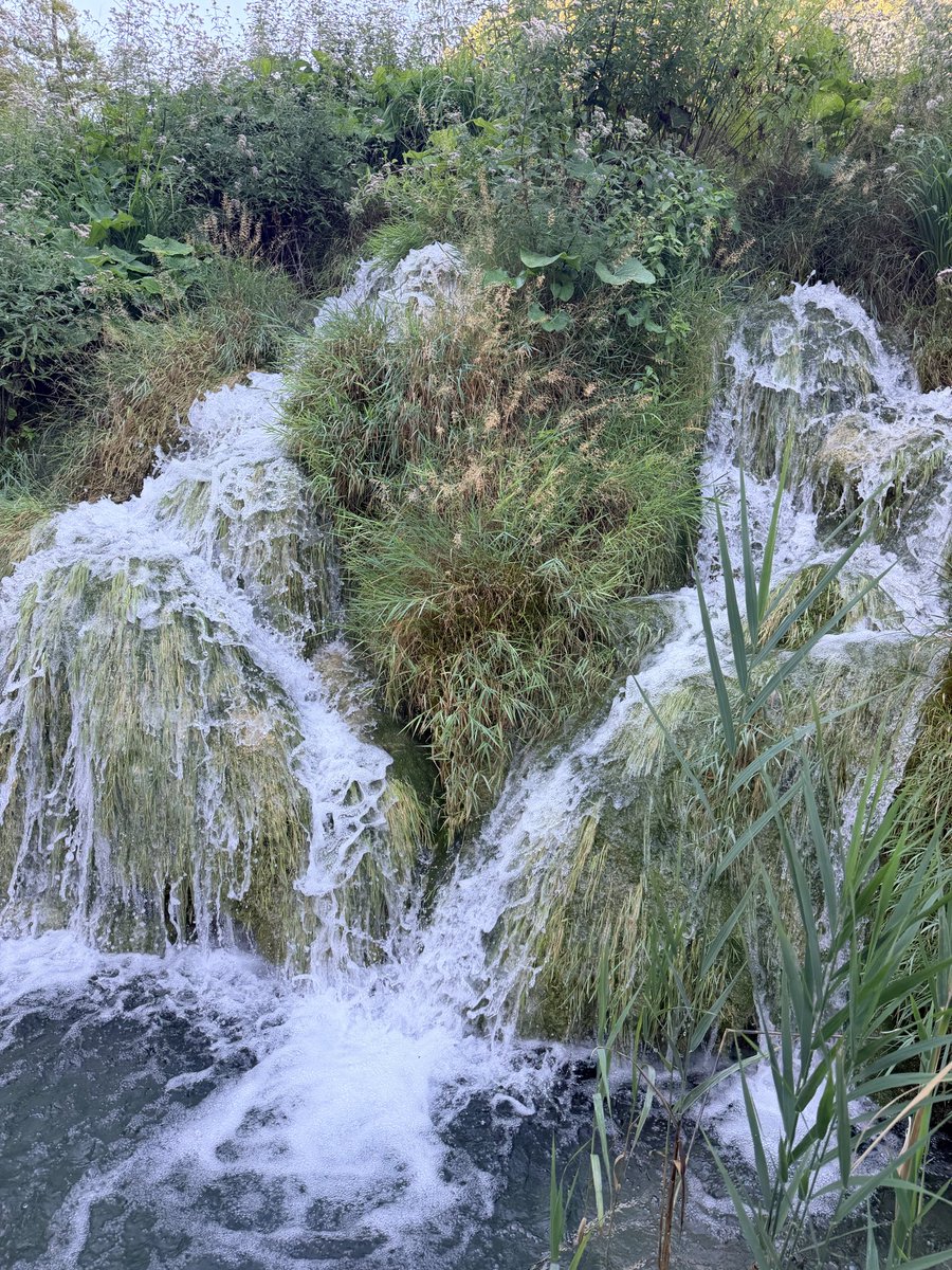 baara_a's tweet photo. Enkele fotoβs van #plitvickajezera of #plitvice
#anitasview https://t.co/5YCmZXkTO6