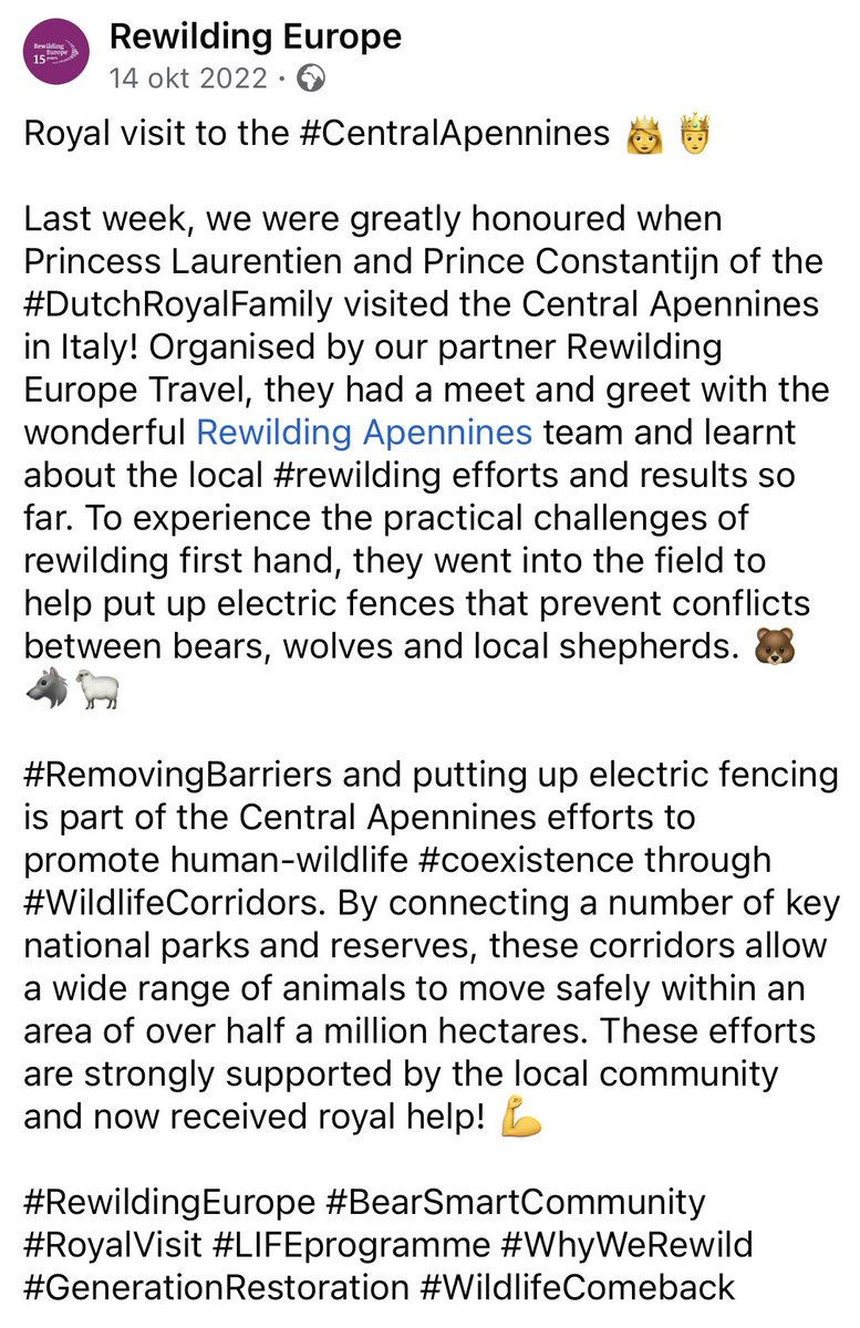 AvanStraaten's tweet photo. Mij wordt al jaren gezegd dat ik niet goed ben, omdat ik blijf zeggen dat prinses Laurentien ambassadeur is van Rewilding Europe(oernatuurtje spelen).

Ondanks dat ik dit met diverse documenten heb aangetoond, wordt er nog steeds gedaan alsof ik maar wat roep en uit mijn nek klets.

Nou, hier kunt u het wederom zelf zien.

In oktober 2022 bracht prinses Laurentien een bezoek aan het rewildinggebied in de Centrale Apennijnen in Italië. En prins Constantijn mocht ook mee.

Ze gingen daar zelfs het veld in om te helpen bij het plaatsen van wolf- en beerwerende elektrische rasters die conflicten tussen beren, wolven en lokale herders moeten voorkomen. Rewilding Europe sprak daarbij zelf over “royal help”.

Lees vooral zelf wat Rewilding Europe hierover schreef. 

En misschien nog een ideetje voor prinses Laurentien en prins Constantijn: Schuttelaar & Partners zoekt voor Team Veebescherming Gelderland nog vrijwilligers. Ervaring met wolfwerende rasters heeft u tenslotte al opgedaan.😏🙈