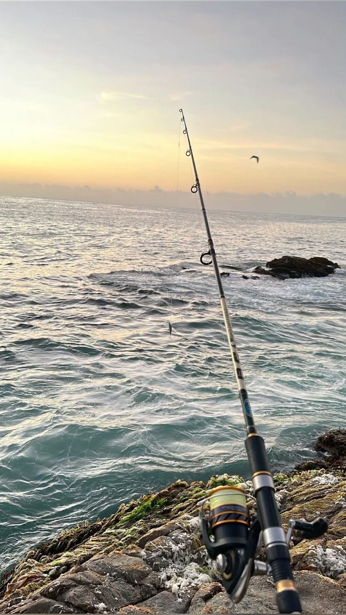 S0510Y's tweet photo. 朝焼けの海に竿を出す、

この時間が一番好き。

波音だけが聞こえる贅沢。

#釣り #磯釣り #朝活 #海 #fishing #sunrise https://t.co/jNh46lMaxL