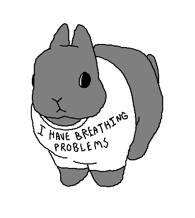 burgermoder's tweet photo. the netherland drawf is cute i guess but i feel really bad for it cus of its flat little head https://t.co/HnCKEQePpa