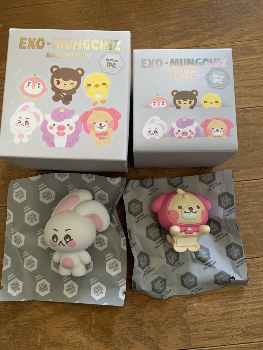 KMoka200219's tweet photo. EXO We are DOLL! MUNGCHIZ MD
交換

【譲】下記写真の物

【求】　同種　ディオ

※郵送希望です
条件合う方よろしくお願いします🙇‍♀️ https://t.co/l7cxKqAnK1