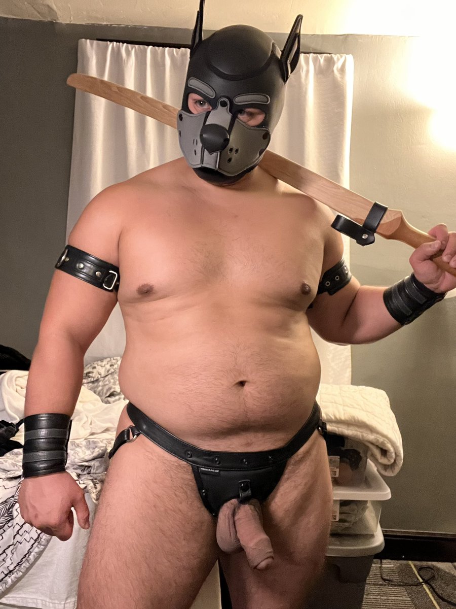 Barbarian_Pup's tweet photo. Some more pics I took before bed, no story this time, very tired and these weren’t my favorite when I took them, but I did kinda like them.

Does i look like a real champion? Can I be your hero? 9.9 https://t.co/ZvDBhx32wd