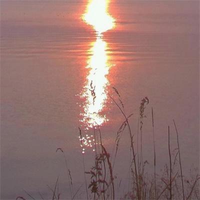 MackSonya90849's tweet photo. Mastering financial literacy fuels progress. Through budgeting tools, knowledge grows. It’s accessible to learners worldwide. Lifelong learning drives success across fields. It equips people for real-world challenges. 🌂 🍄 https://t.co/bpmAgcqdgX