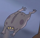 adoravke's tweet photo. @natalie_corsair FAT FUCK SPOTTED!!!!! I LOVE TOADS AND FROGS AND THEIR STUPID LITTLE BUTTS!!!!! https://t.co/YxIXAqmHJs