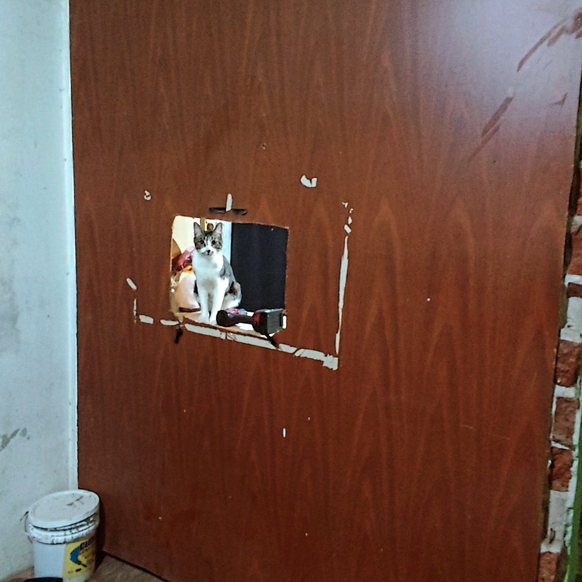 L3MON_CS's tweet photo. Arranca la transformación de una habitación en un setup Gamer inspirado en el mejor equipo @9zTeam ... Por ahora una simple pared... Pero estamos avanzando rápido! Hay que destacar que no se nada de todo esto y lo voy aprendiendo con videos y sobre la marcha https://t.co/fSmxe4ljZ2