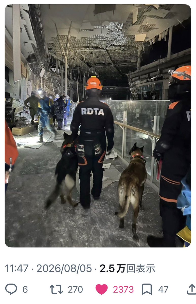hdsk9_searchdog's tweet photo. 【世界選手権に挑戦】世界大会で救助犬の必要性を広め支援の輪を拓く - CAMPFIRE (キャンプファイヤー) 

国際救助犬世界選手権に挑戦する🐕聡太郎くんと橋本さん(RDTA)
10月イタリアで開催されます。

ペアは熊本地震において救援活動も実施しました。

現在、支援クラウドファンディング実施中です。81%達成、残り15日29万円となりました。

皆様の温かい応援ご協力お願いします。

https://t.co/DmBAiubu3y

#令和8年熊本地震
#世界選手権
#挑戦
#犬